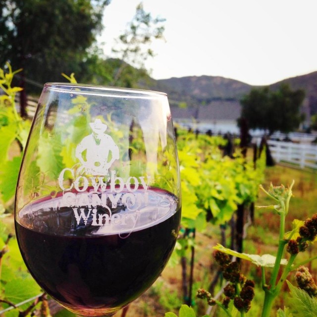 Cowboy Canyon Winery Glass and Vineyard