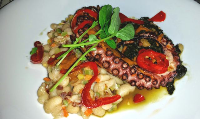 Social Costa Mesa - Spanish Octopus