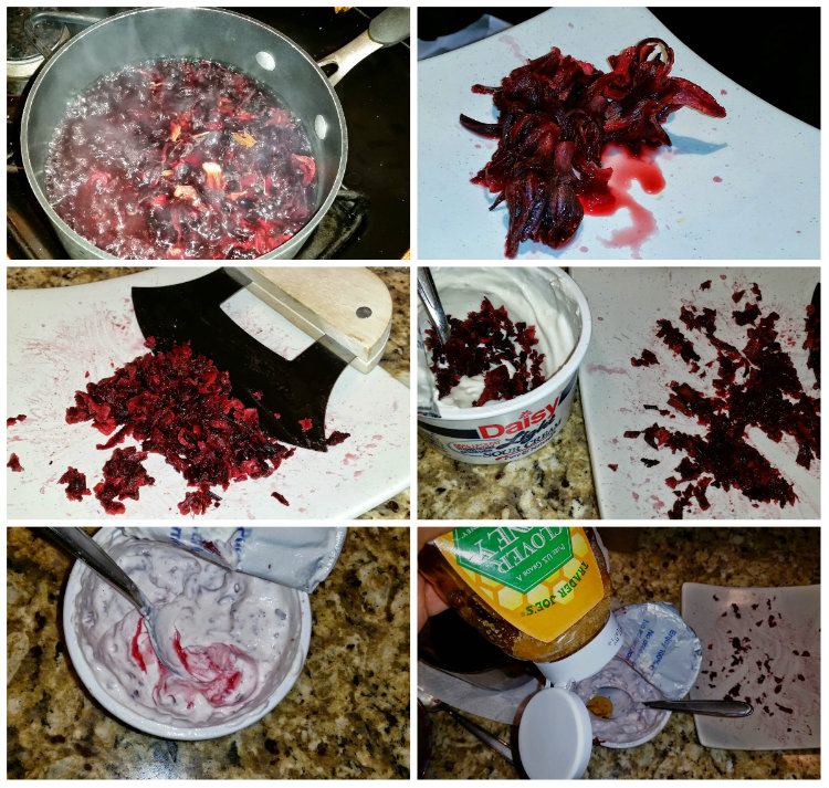 Pasta Para Duros Chips - Making the Hibiscus Sour Cream Dip