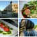 Best Restaurants in Paso Robles