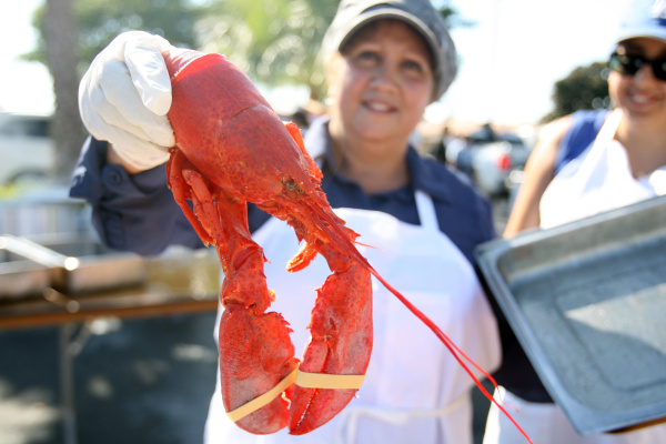 Cooked Lobster Ready to Eat