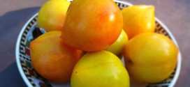 Exotic Fruit Spotlight  – The Lemon Plum from Chile
