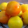 Exotic Fruit Spotlight  – The Lemon Plum from Chile