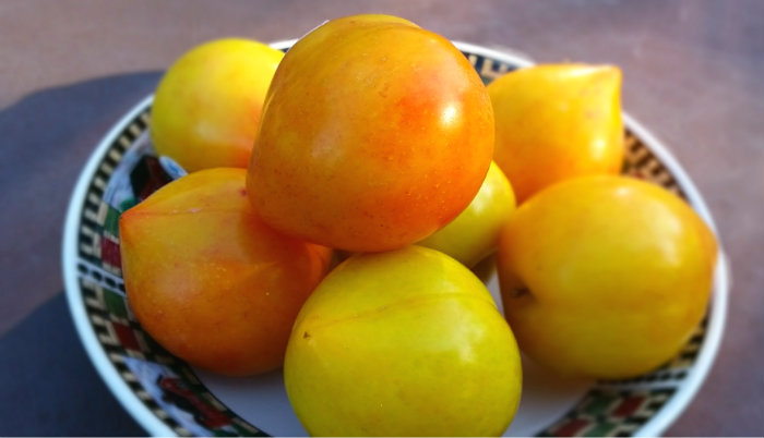 Lemon Plums
