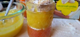 Girl Scout Cookie Recipe – Savannah Sunset Curd Parfait